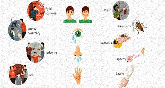 Sroda z Profilaktyka. Alergie