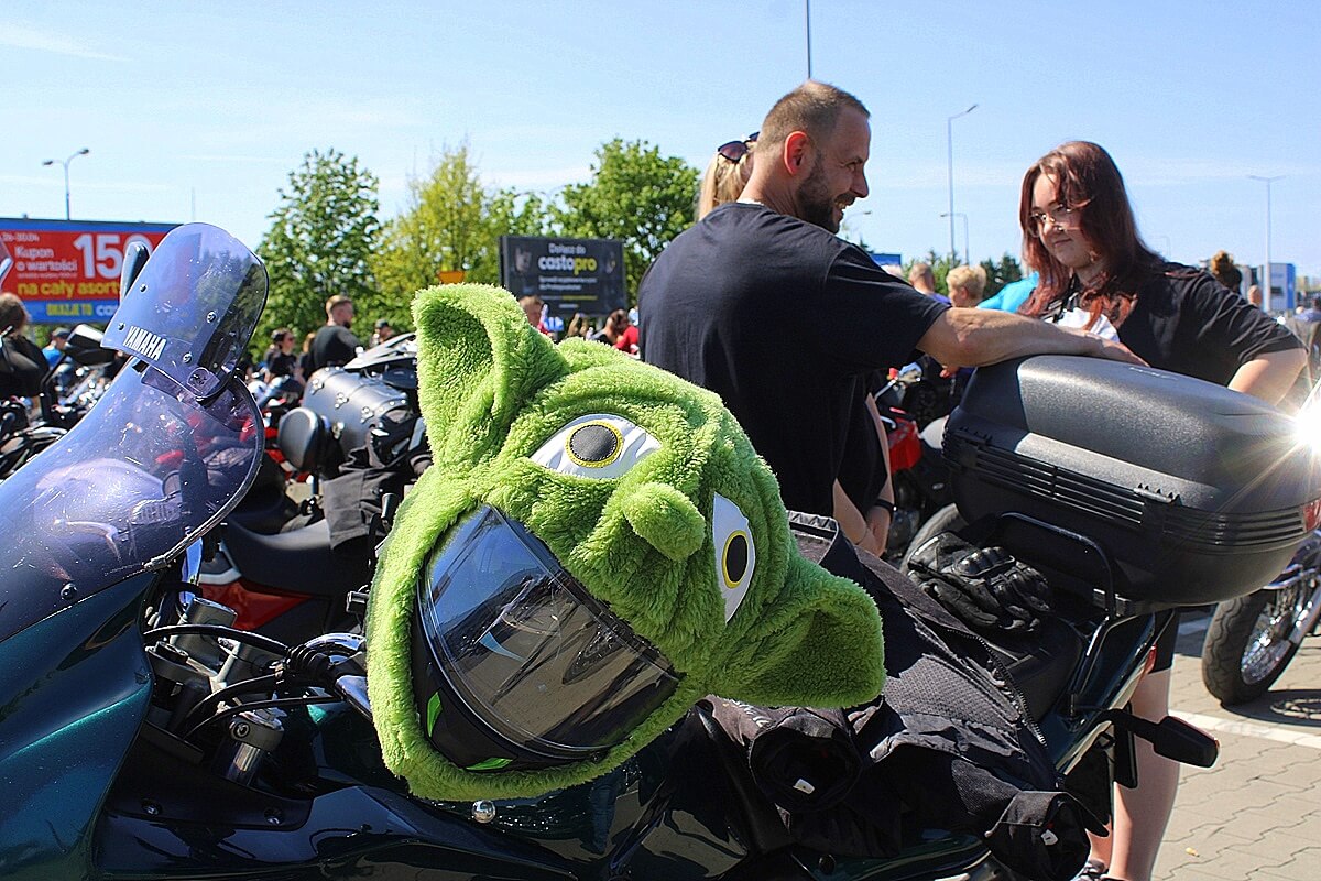 Motory