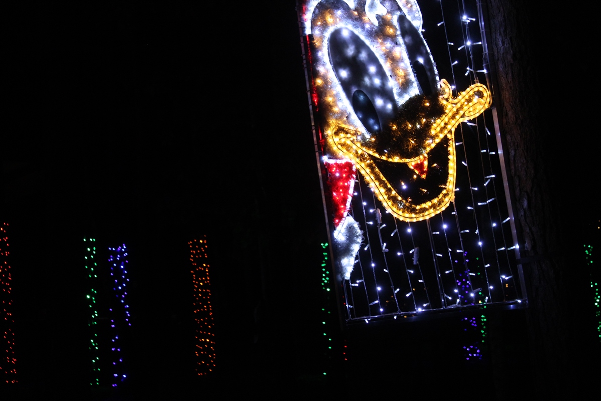 IMG 4302 Copy