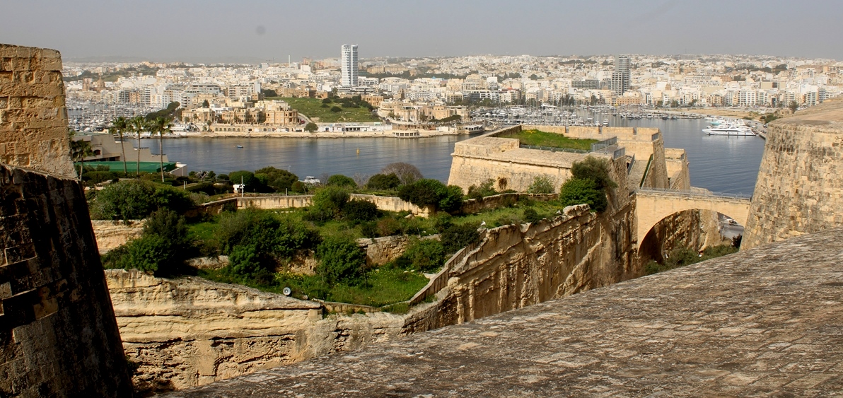 IMG 9415 Copy 1