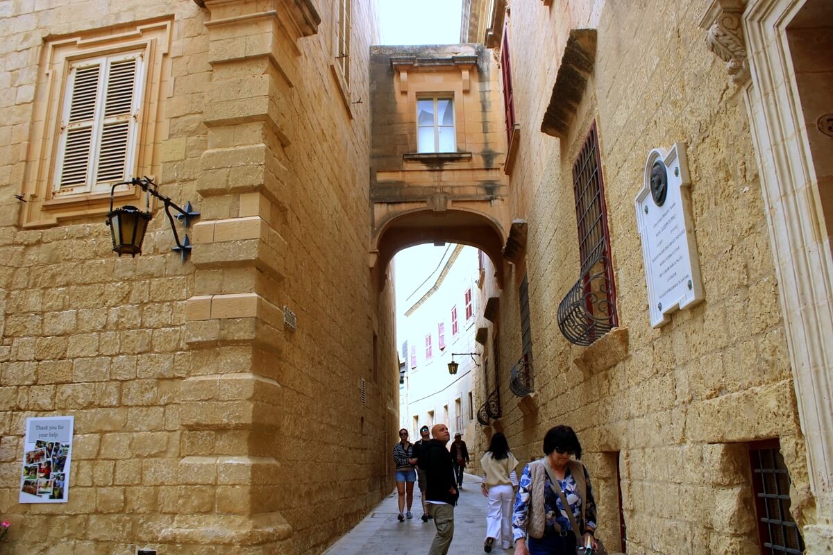 IMG 9674 Copy 1