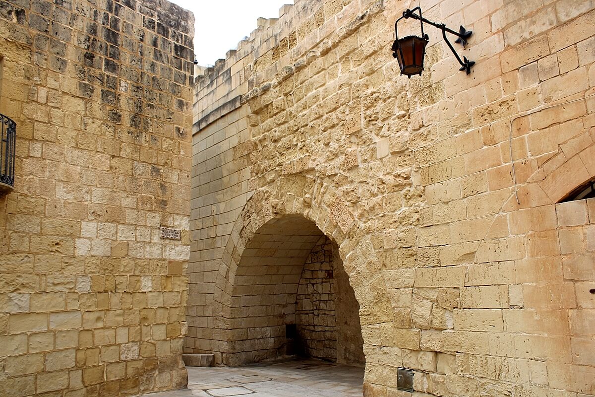 IMG 9686 Copy 1