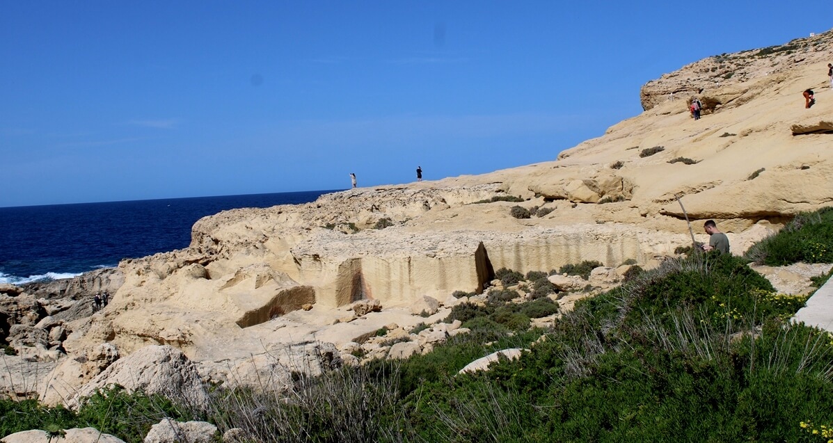 IMG 9774 Copy 1