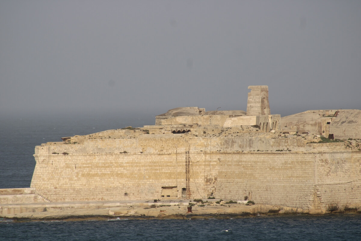 IMG 9951 Copy 1