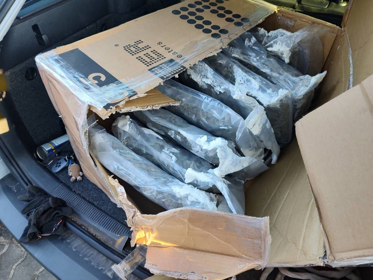 11,5 kilograma marihuany i blisko 800 tysięcy złotych przejęte przez bydgoskich policjantów 1 WRSH4302