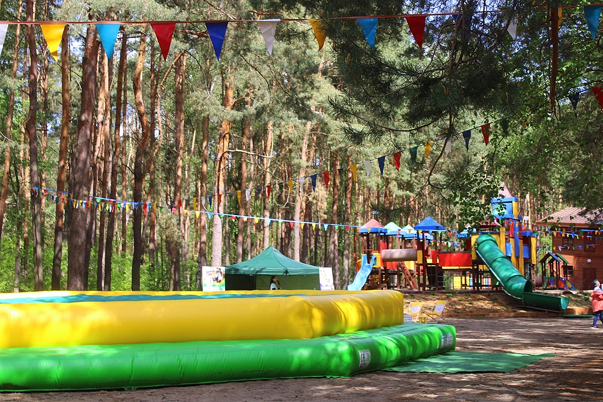IMG 7133 Copy