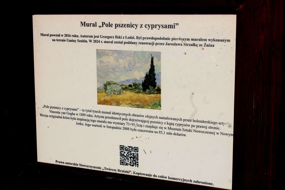 IMG 2062 Copy