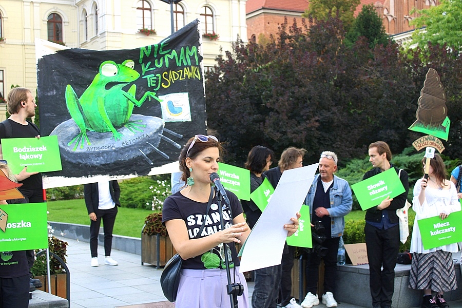 Protest Modrzew